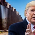 Trump Administration Marks 10th Consecutive Month With Zero Illegal Immigrant Releases, Border Apprehensions Down 97%