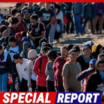 Former DHS Secretary Tells Senate That Democrats Support Open Borders to Import New Voters