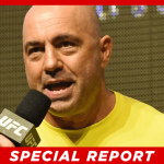 Joe Rogan Criticizes Democratic Immigration Policies, Citing Crime and Political Manipulation